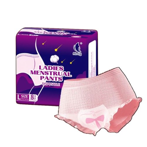 Disposable Menstrual panties
