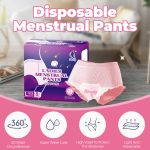 Disposable menstrual Pants