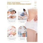 Disposable menstrual Pants